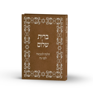 ש"ע לבני נח "ברית שלום"