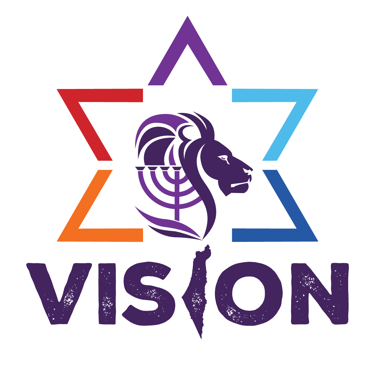 Vision Program