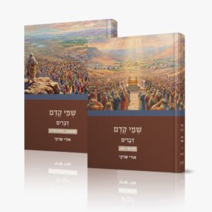 דברים א- וב' מסדרת "שמי קדם" "מכירה מוקדמת״